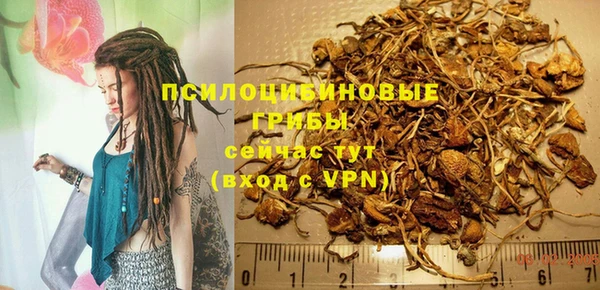 каннабис Покачи