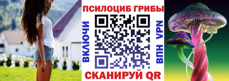 kraken   Спасск  Галлюциногенные грибы Cubensis 